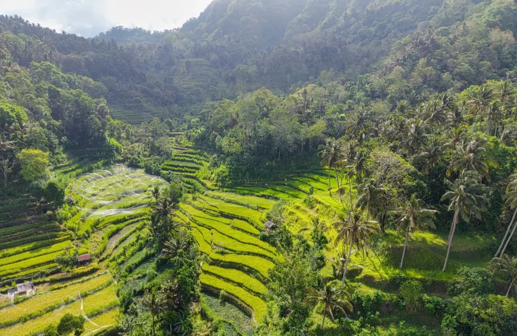 Bali en 10 jours : itinéraire en 3 étapes et variantes — Idées Voyages